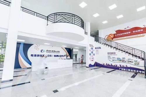 廣東新設職業本科院校首次招生，軟件服務專業迎來210名學子